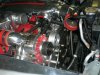 MYSRT%20029.jpg