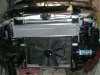 MYSRT%20022.jpg