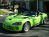 viper.jpg
