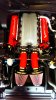 IMAG0355.jpg