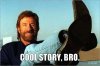 cool-story-bro.jpg