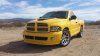 yellow1.jpg