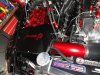 DSC00173.JPG