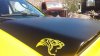 20160207_110318.jpg