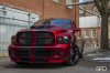 SFD_2856-Edit.jpg