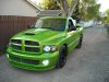 snake green1.jpg