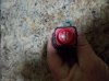 20160710_174444.jpg
