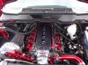 DSC00732.jpg