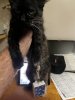 IMG_0547.jpeg