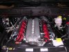 DSCN2436.JPG