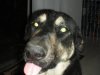 DSCN1762.jpg