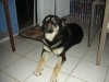 DSCN1754.jpg