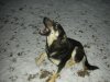 DSCN1772.jpg