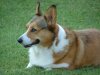 2004_0813Fannie0040.JPG
