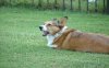 2004_0813Fannie0038.JPG