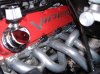 Picture -22168.jpg
