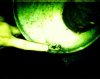 IMG00054.JPG