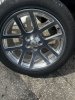IMG_0761.jpeg