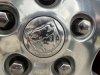 IMG_0781.jpeg