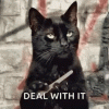 4232B3AB-4944-4B59-B2BF-8D552ECE8A67.gif
