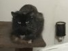 IMG_7449.jpeg