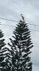 IMG_0538.jpeg