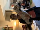 IMG_6727.jpeg