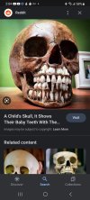 Screenshot_20230328_140452_Google.jpg