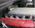 IMG_0866.jpeg