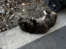 IMG_1049.jpeg