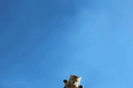 1727360852715.gif