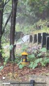 IMG_1433.jpeg