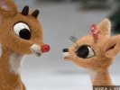IMG_1833.jpeg