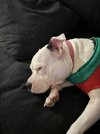 IMG_1402.jpeg