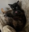 IMG_1273.jpeg