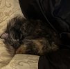 IMG_1304.jpeg