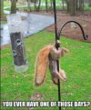 IMG_2150.jpeg