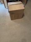 IMG_4827.jpeg