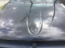 IMG_2356.jpeg