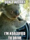 IMG_2454.jpeg