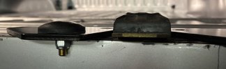 IMG_4787.jpeg