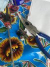IMG_7792.jpeg