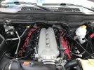 IMG_6208.jpeg