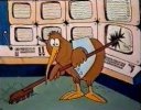 goodnight kiwi.jpg