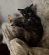 IMG_1273.jpeg
