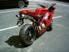 Duc2.JPG