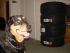 DSCN2518.JPG