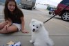 my little girl with Rooster.jpg