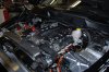 338741299405_0_ALB[1].jpg