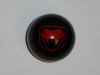 DSC01106.JPG